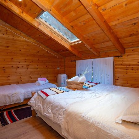 Moll' e Shoshit Bee Eco Guest House מראה חיצוני תמונה